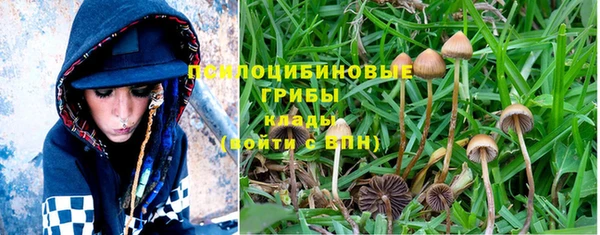 хмурый Новодвинск