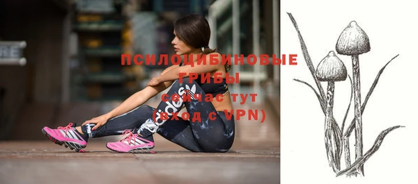 соль ск Новокубанск