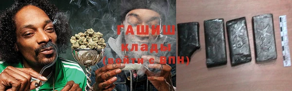 скорость Новозыбков