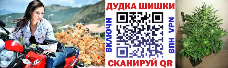 Купить где  Новокузнецк  Шишки марихуана планчик 
